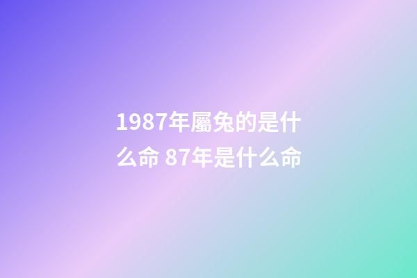 1987年屬兔的是什么命 87年是什么命-第1張-觀點-玄機派
